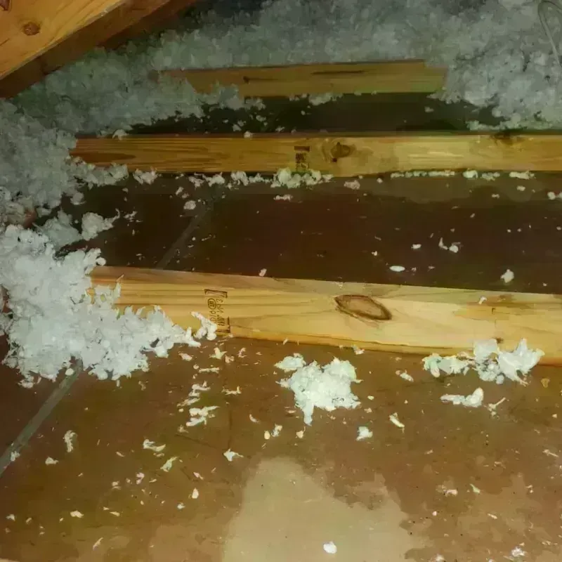 Attic Water Damage in Lakesite, TN